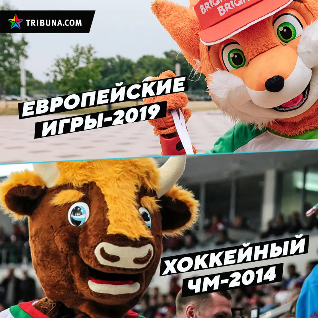 Какой большой турнир в Беларуси вам понравился больше — Европейские игры или хоккейный ЧМ?