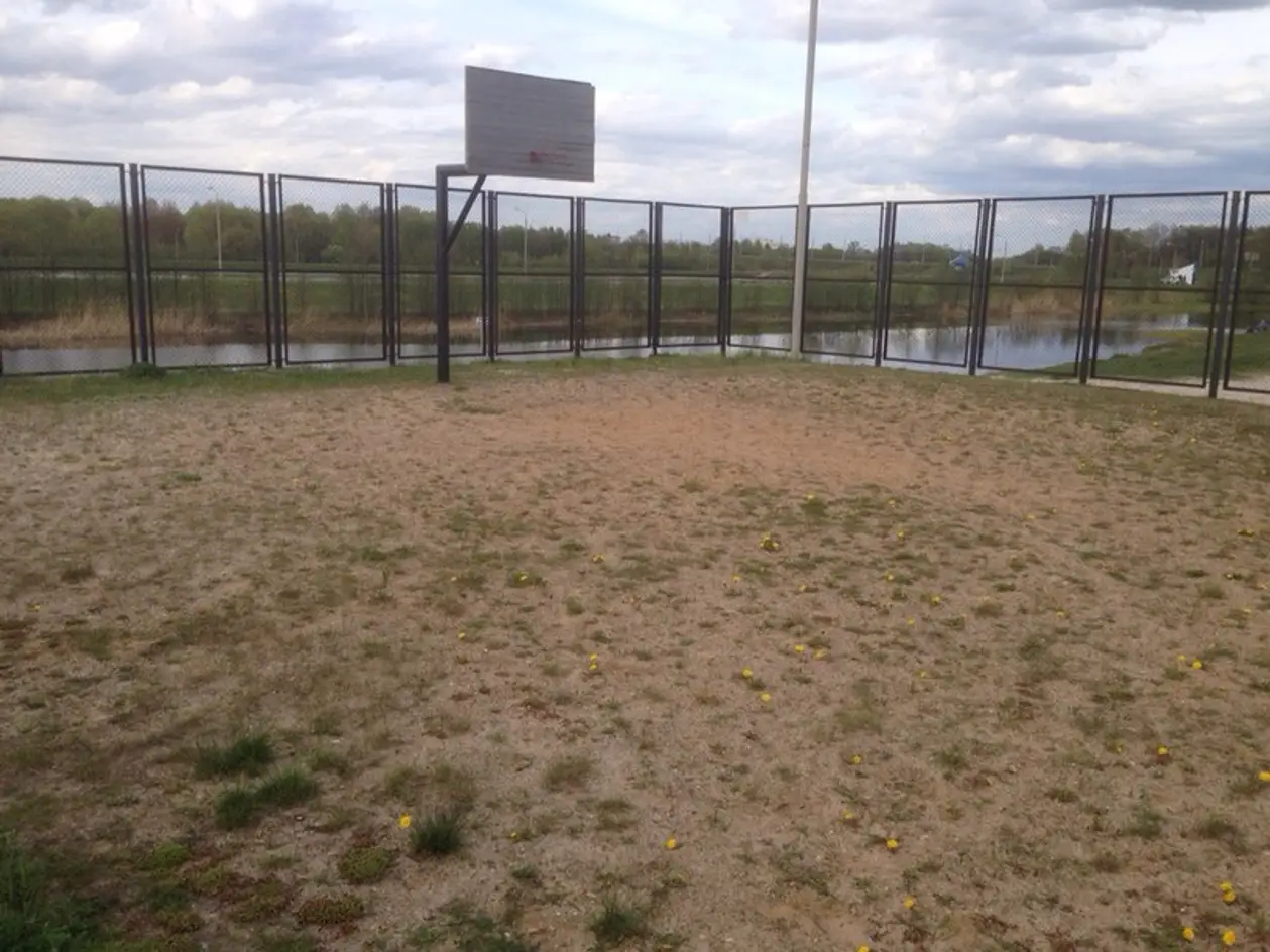 Только трава и песок, только хардкор! На чем чиновники предлагают играть в стритбол брестчанам