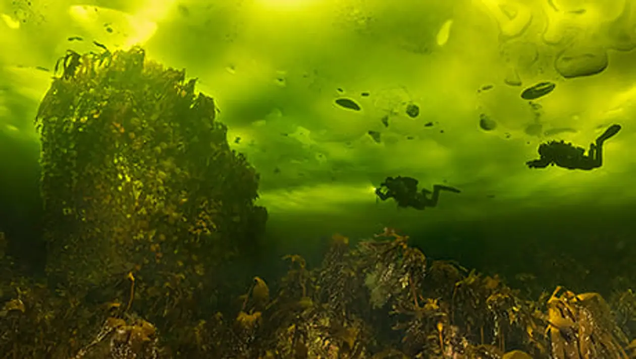Жизнь подводного фотографа: плавает в памперсе, снимает голых моделей в минус два, находит пианино на глубине 56 метров