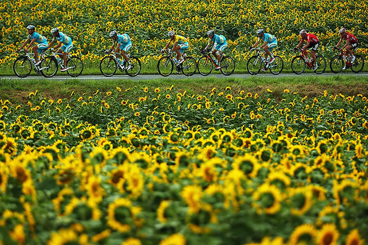 Почему в этом году стоит смотреть «Тур де Франс»