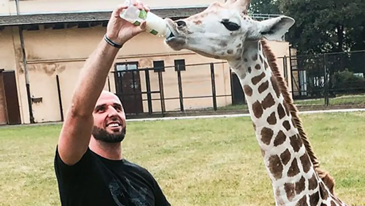Немного о жирафах. Неделя в НБА