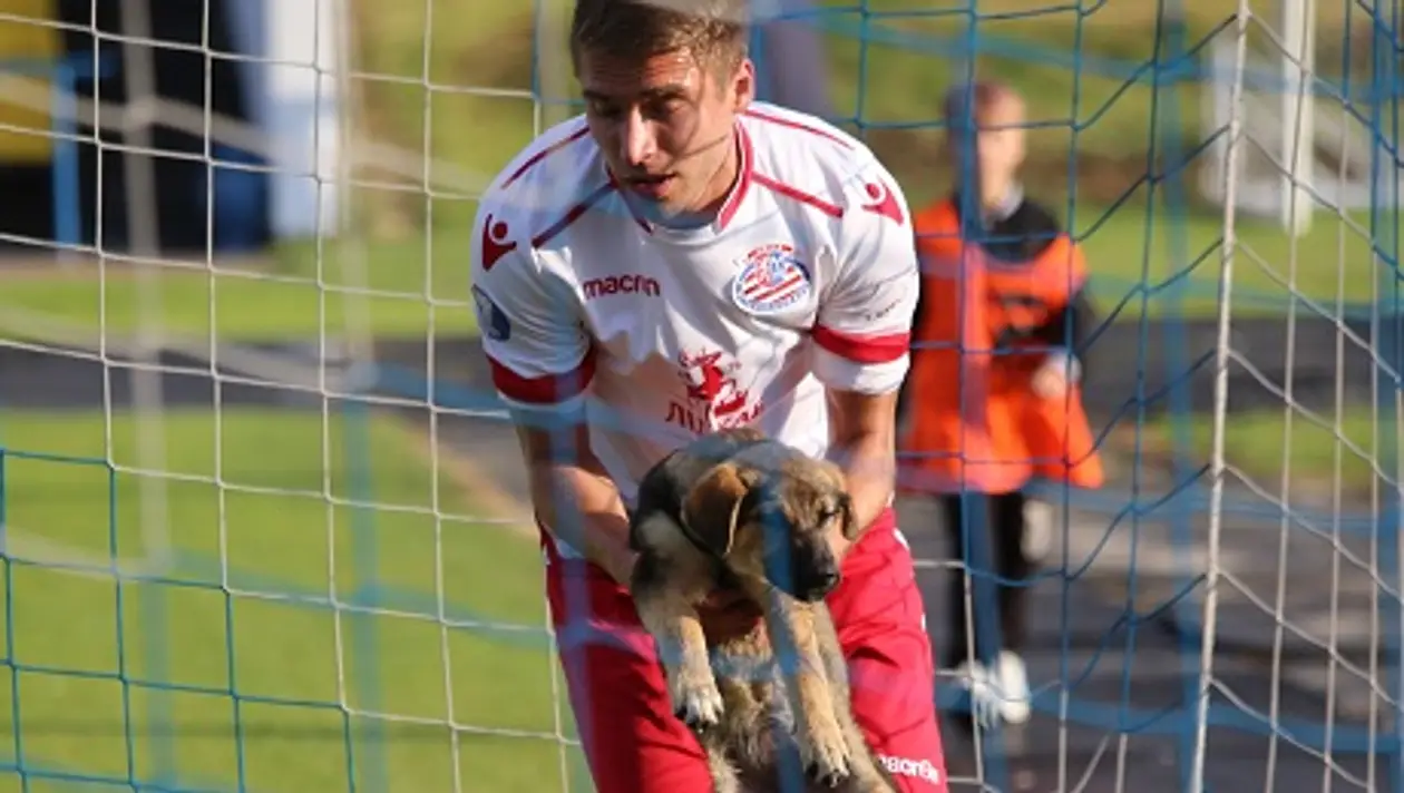 Собака оживила футбол в Лиде – убрать гостя с газона смогли не сразу