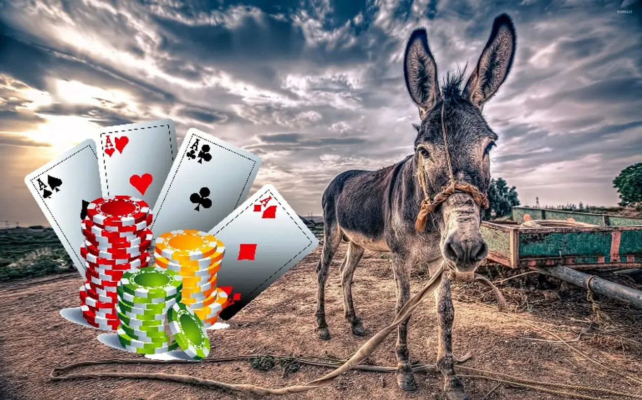 Донк бет - «ослиная» ставка в покере. Как и зачем делать донкбет?