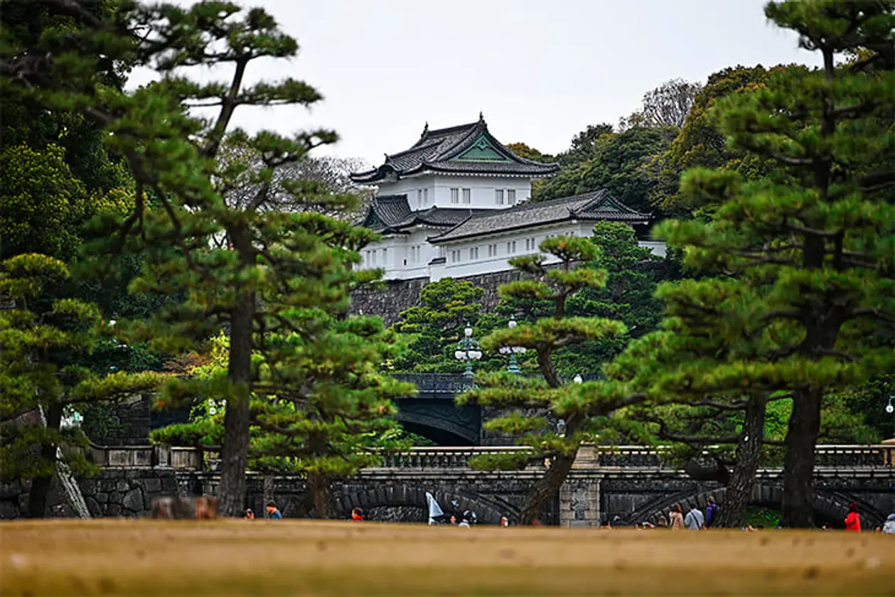 Год до Олимпиады в Токио: потратили $13 млрд, используют 42 объекта (рекорд!) и даже Императорский дворец