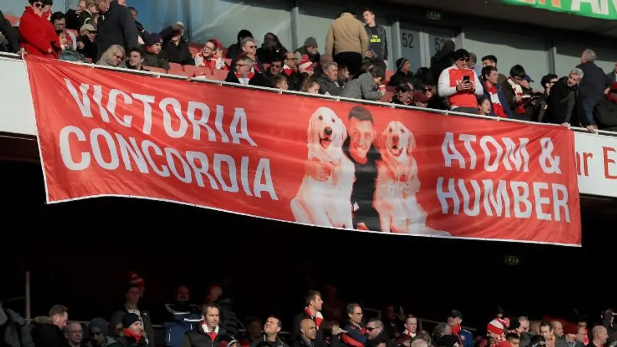 Новый баннер фанатов «Арсенала» в честь Санчеса и его собак