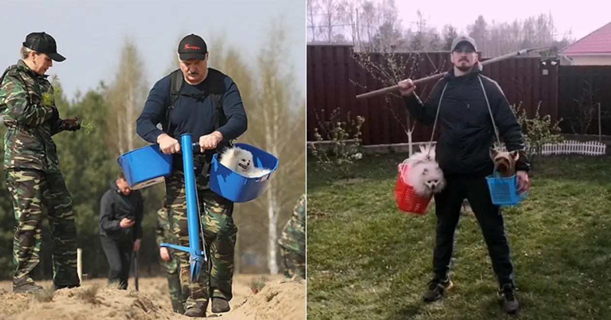Гурков а-ля Лукашенко с субботника – шпиц в корзине для продуктов и грабли вместо трубы