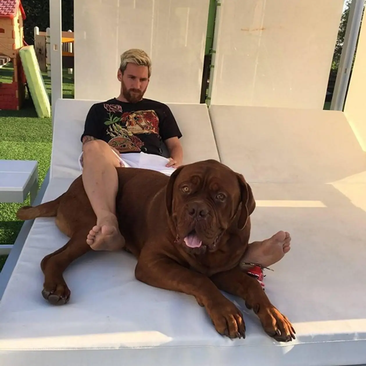 Лео Месси сфотографировался со своим псом. Он просто гигантский