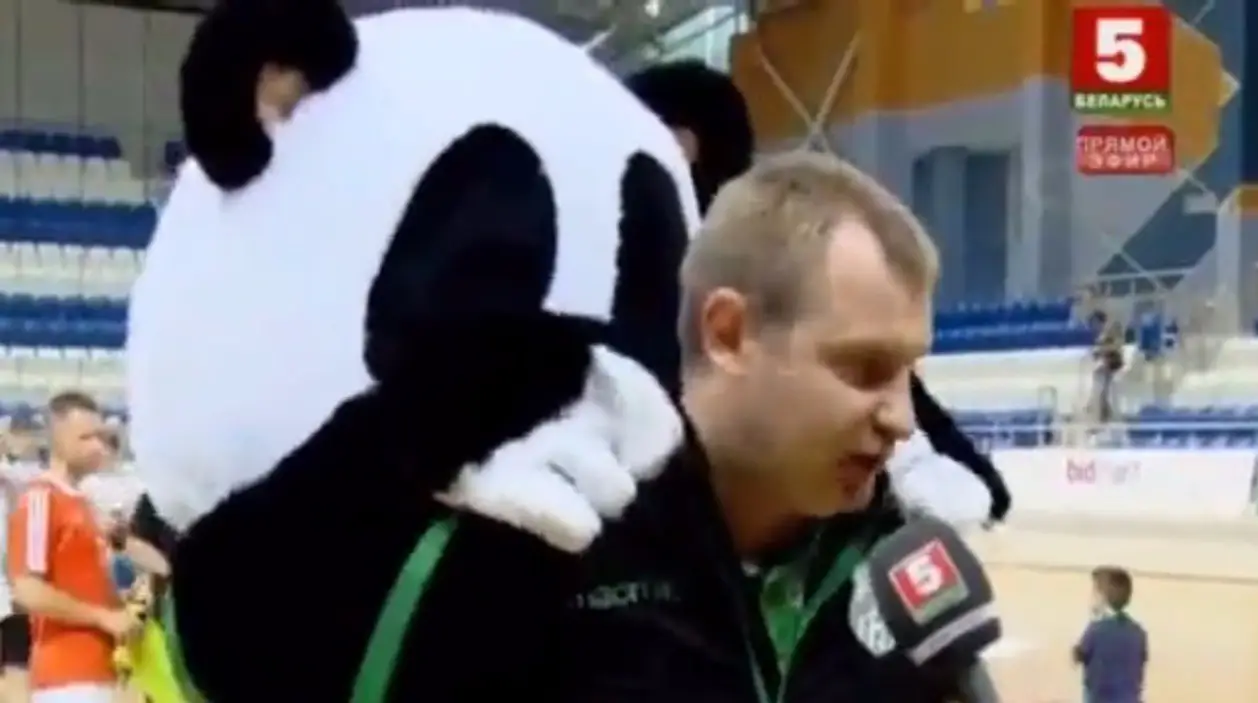Милота дня. Панда-маскот делает массаж тренеру во время интервью