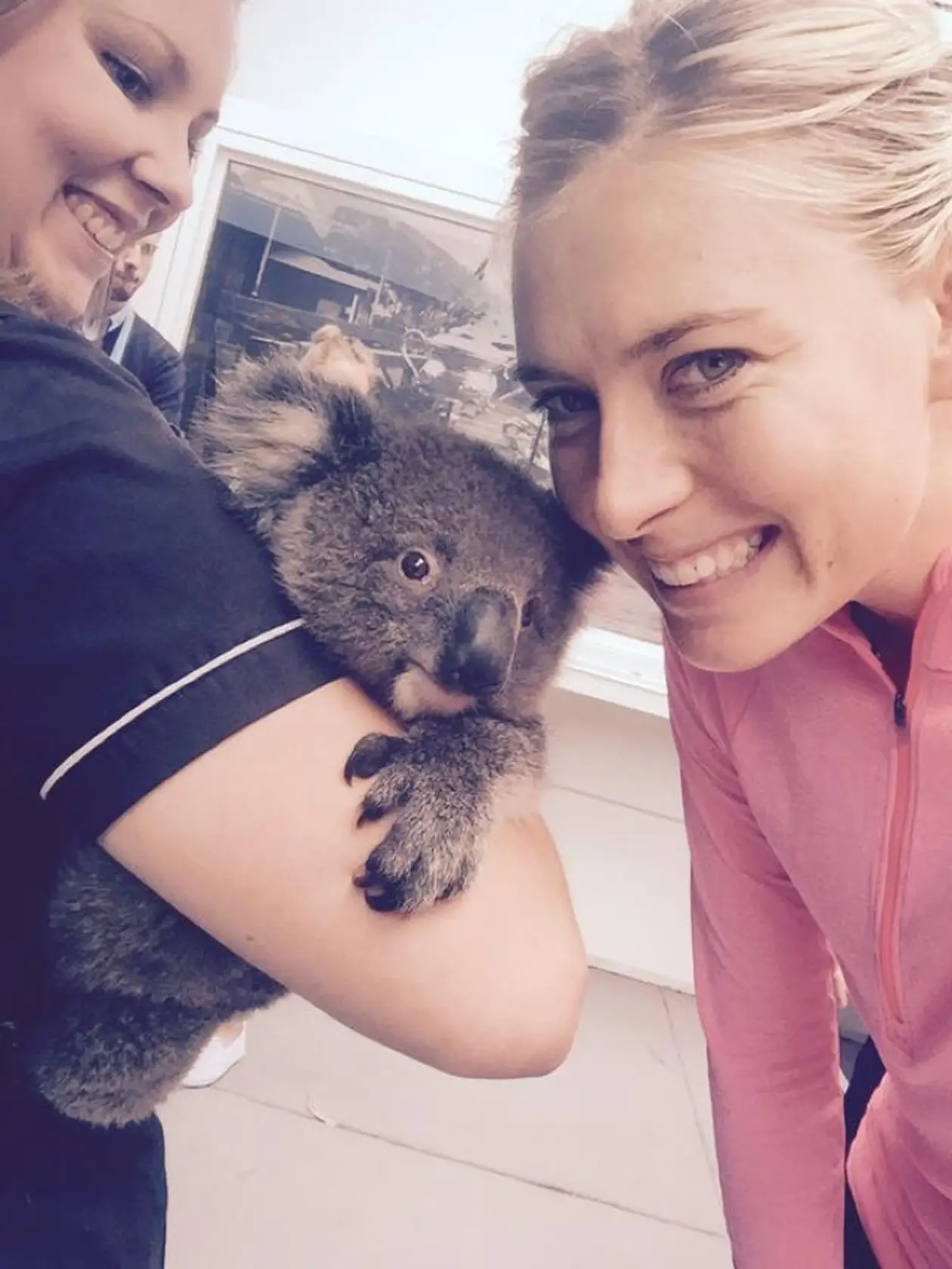 «Селфи с кенгуру!» О дружбе теннисистов с австралийской природой