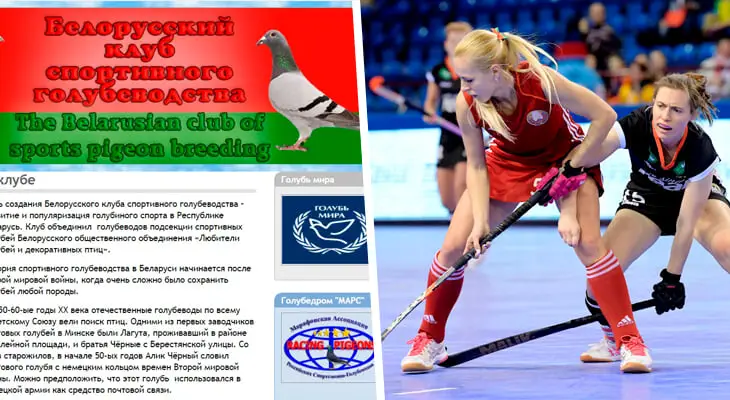 Вы знали, что в Беларуси хоккей на траве популярнее гандбола? А слышали о существовании голубиного спорта? Новый рейтинг популярности федераций видов спорта